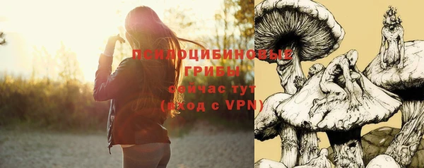 ALPHA PVP Баксан