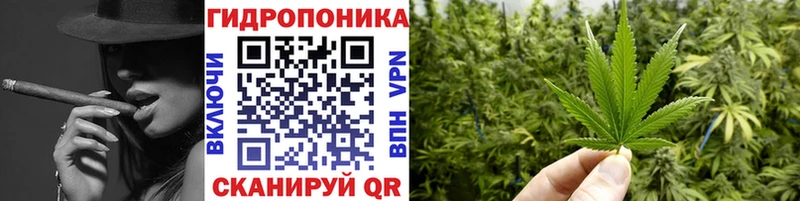 Марихуана Amnesia  Суоярви 